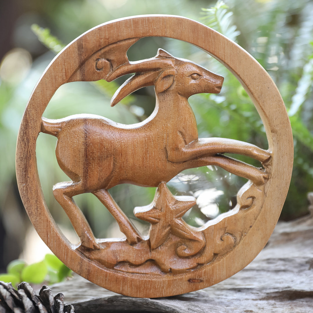 Capricorn Firmament