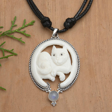 Harmony Kitten