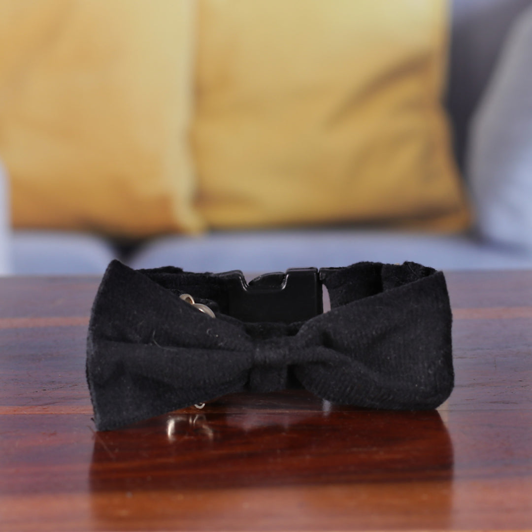 Royal Elegance in Onyx