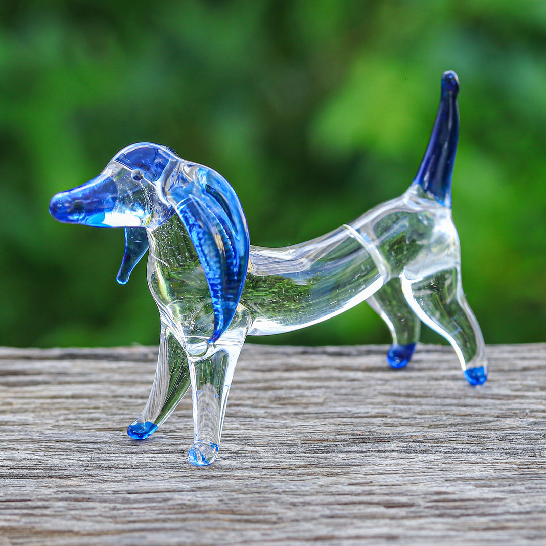 Intuition Dachshund