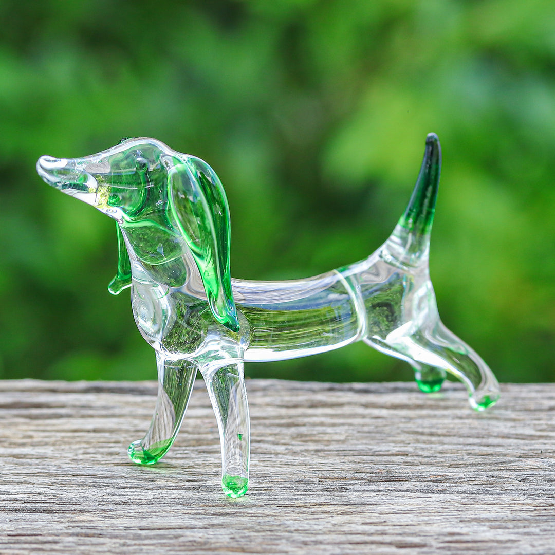 Hope Dachshund