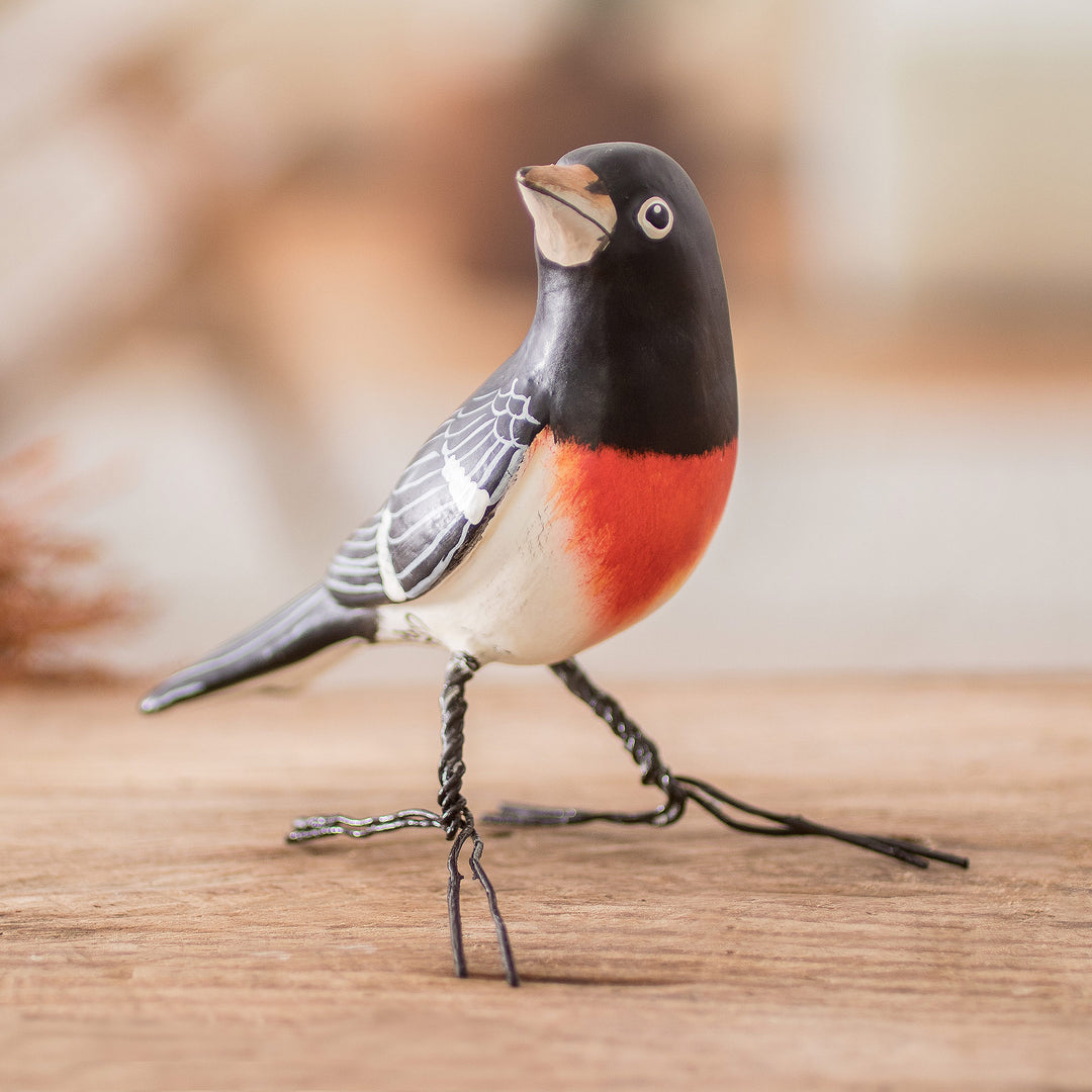 RoseBreasted Grosbeak