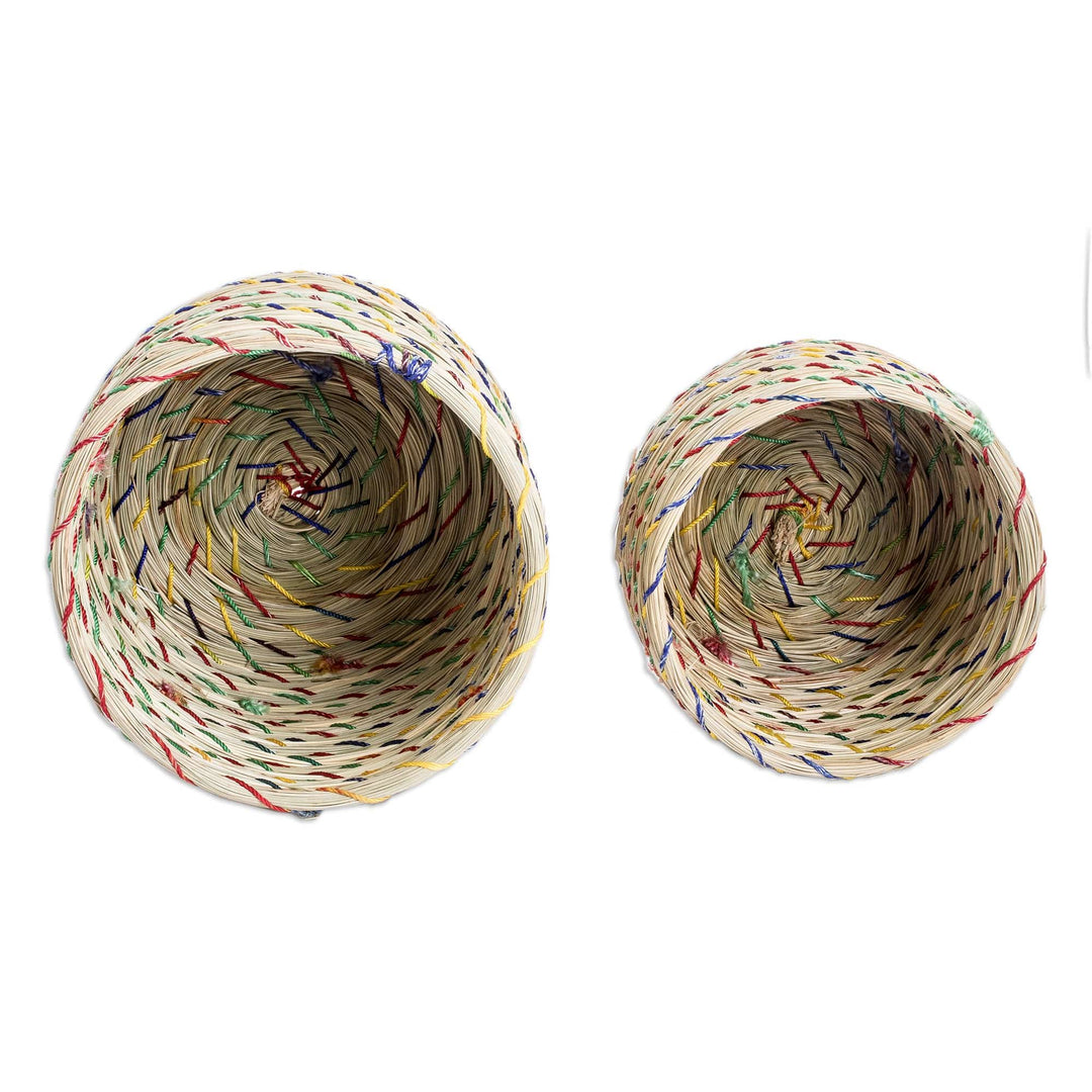 Set of 2 Natural Fiber Baskets with Colorful Acrylic Threads - Practical Forest