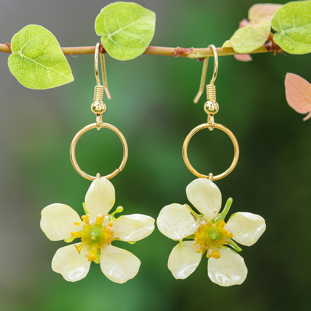 22k Gold-Plated Natural Calabura Flower Dangle Earrings - Heavenly Celebration