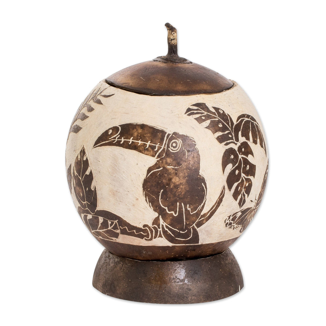 Toucan-Themed Handmade Round Dried Gourd Decorative Accent - Costa Rican Memories