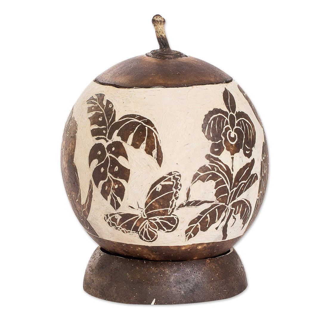 Toucan-Themed Handmade Round Dried Gourd Decorative Accent - Costa Rican Memories