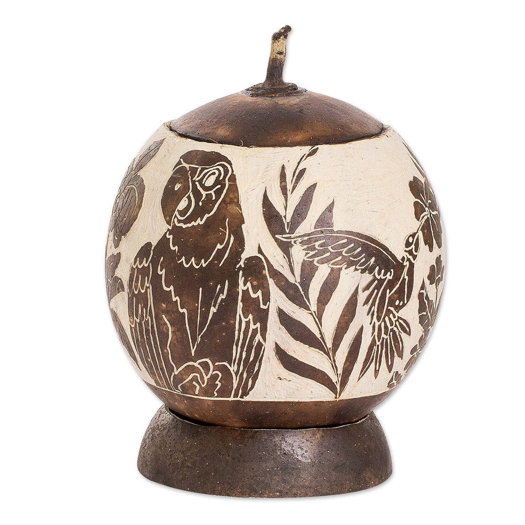 Toucan-Themed Handmade Round Dried Gourd Decorative Accent - Costa Rican Memories