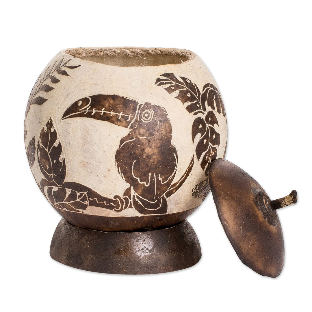 Toucan-Themed Handmade Round Dried Gourd Decorative Accent - Costa Rican Memories