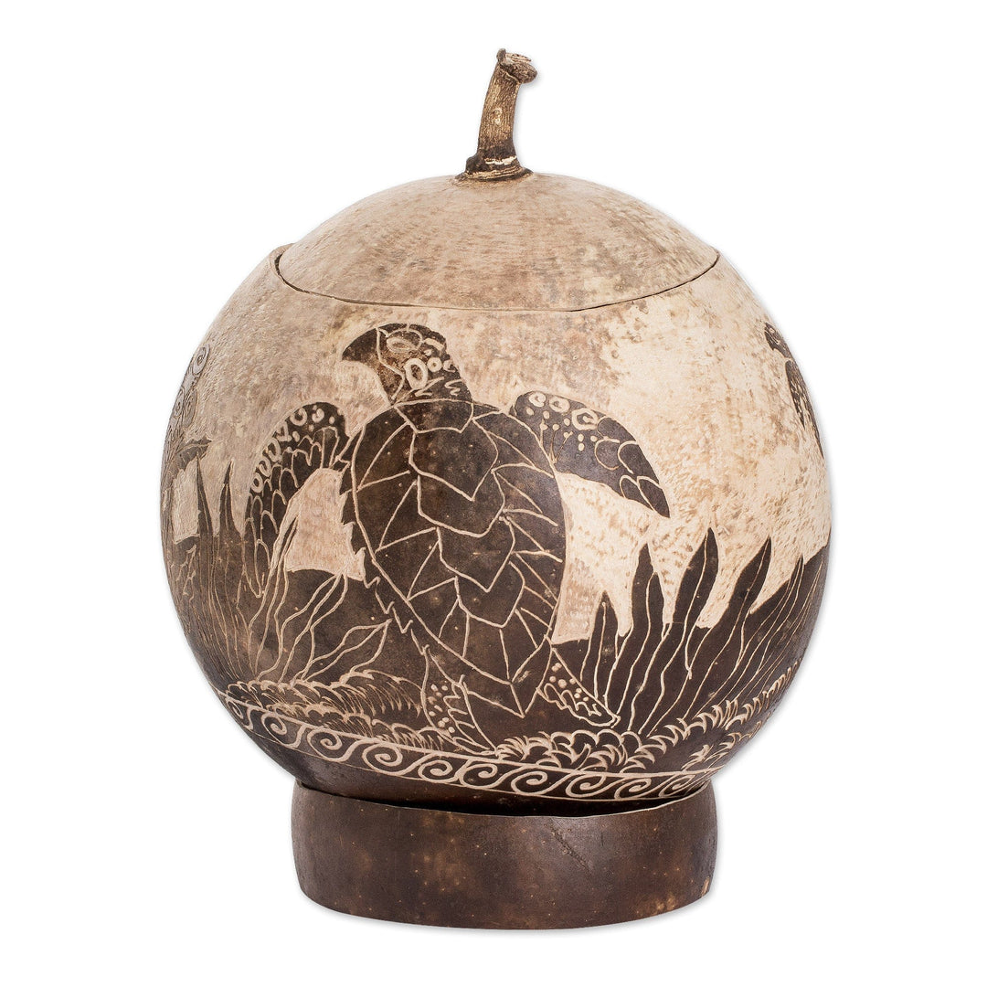 Sea Life-Themed Round Dried Gourd Decorative Accent - Seafloor