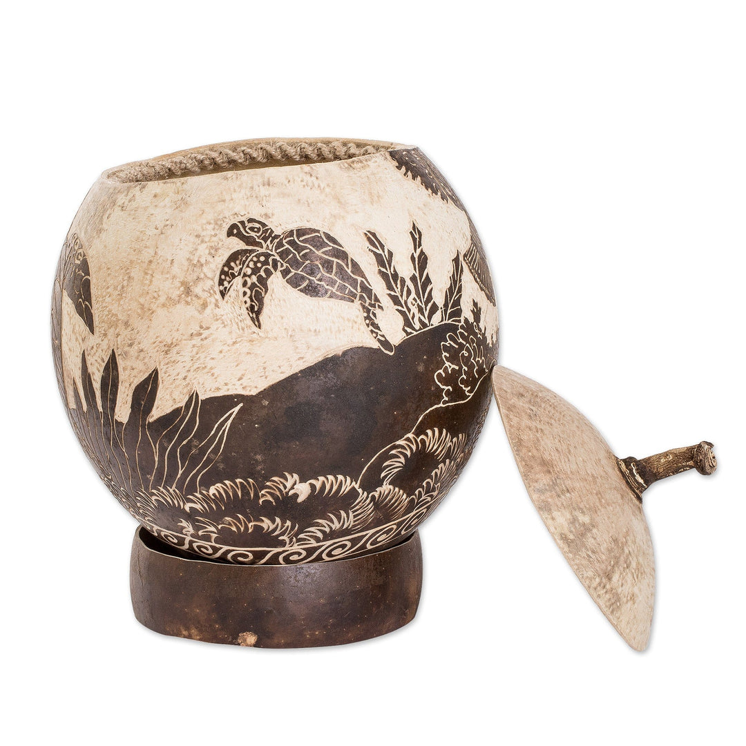 Sea Life-Themed Round Dried Gourd Decorative Accent - Seafloor