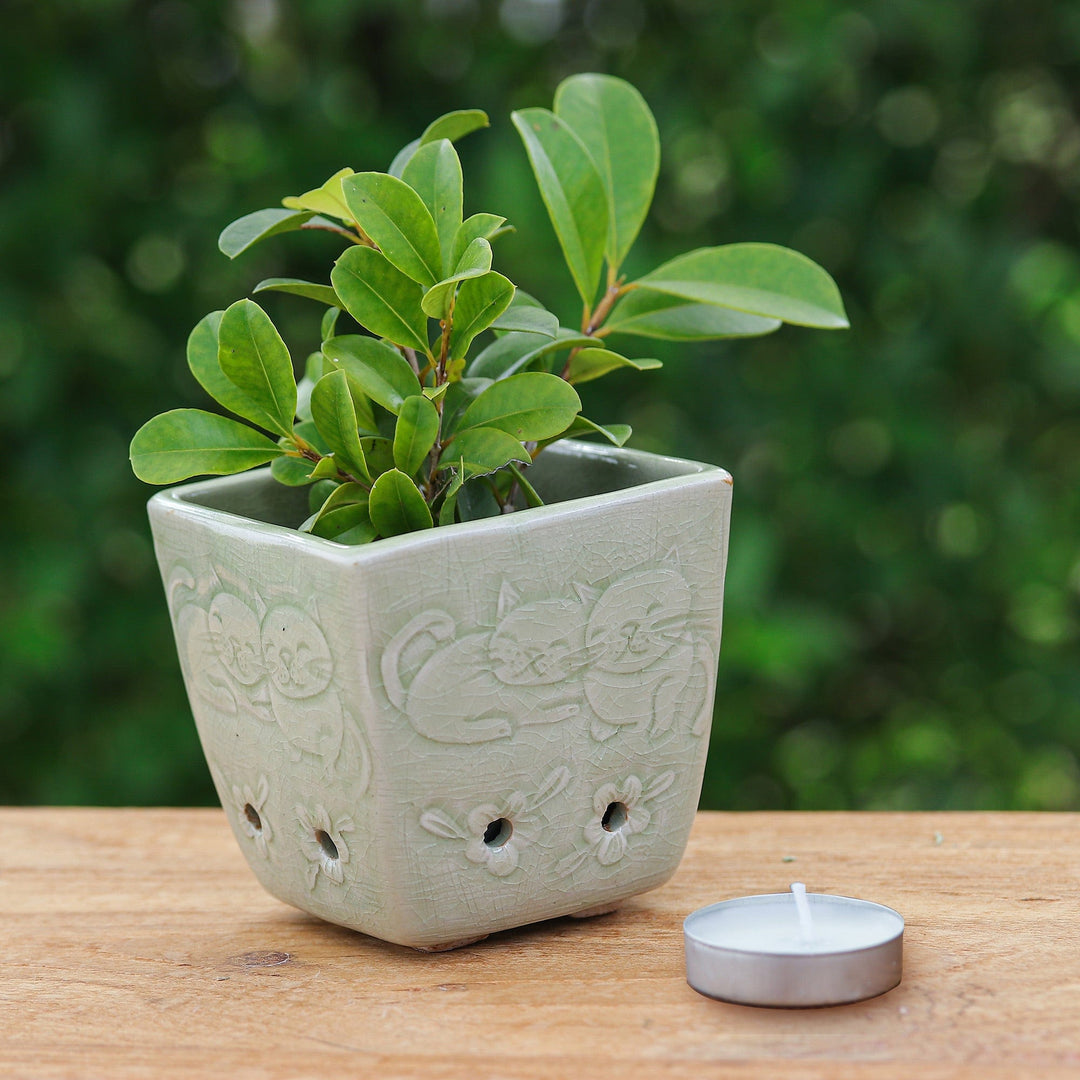Cat and Floral-Themed Celadon Ceramic Mini Planter in Green - Green Kitty Garden