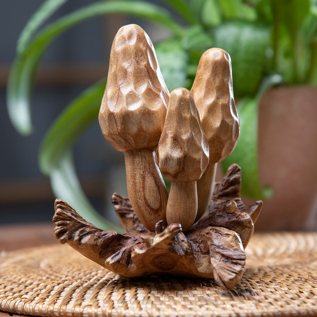 Morchella Family