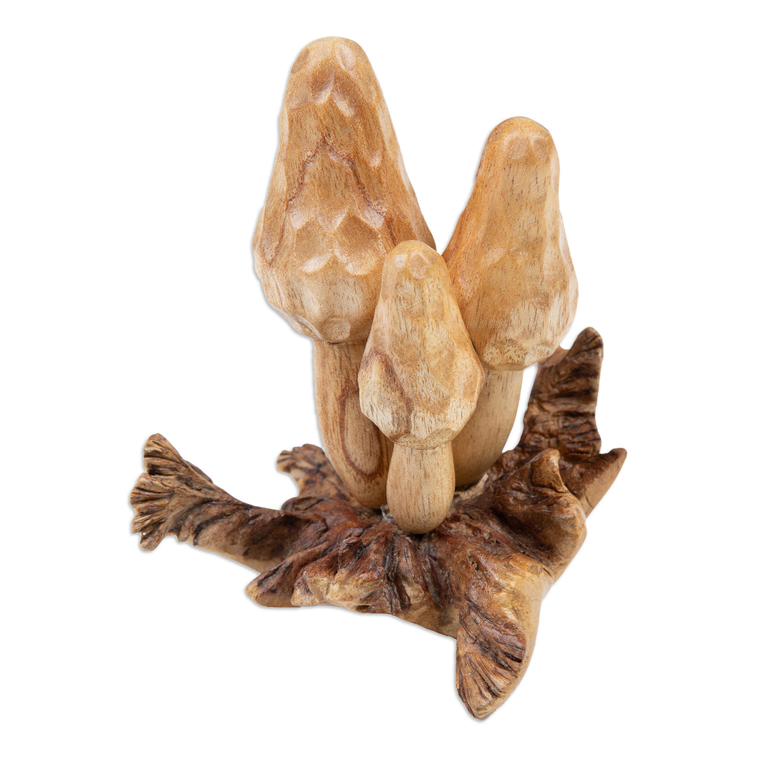 Jempinis and Benalu Wood Morchella Sculpture Crafted in Bali - Morchella Family