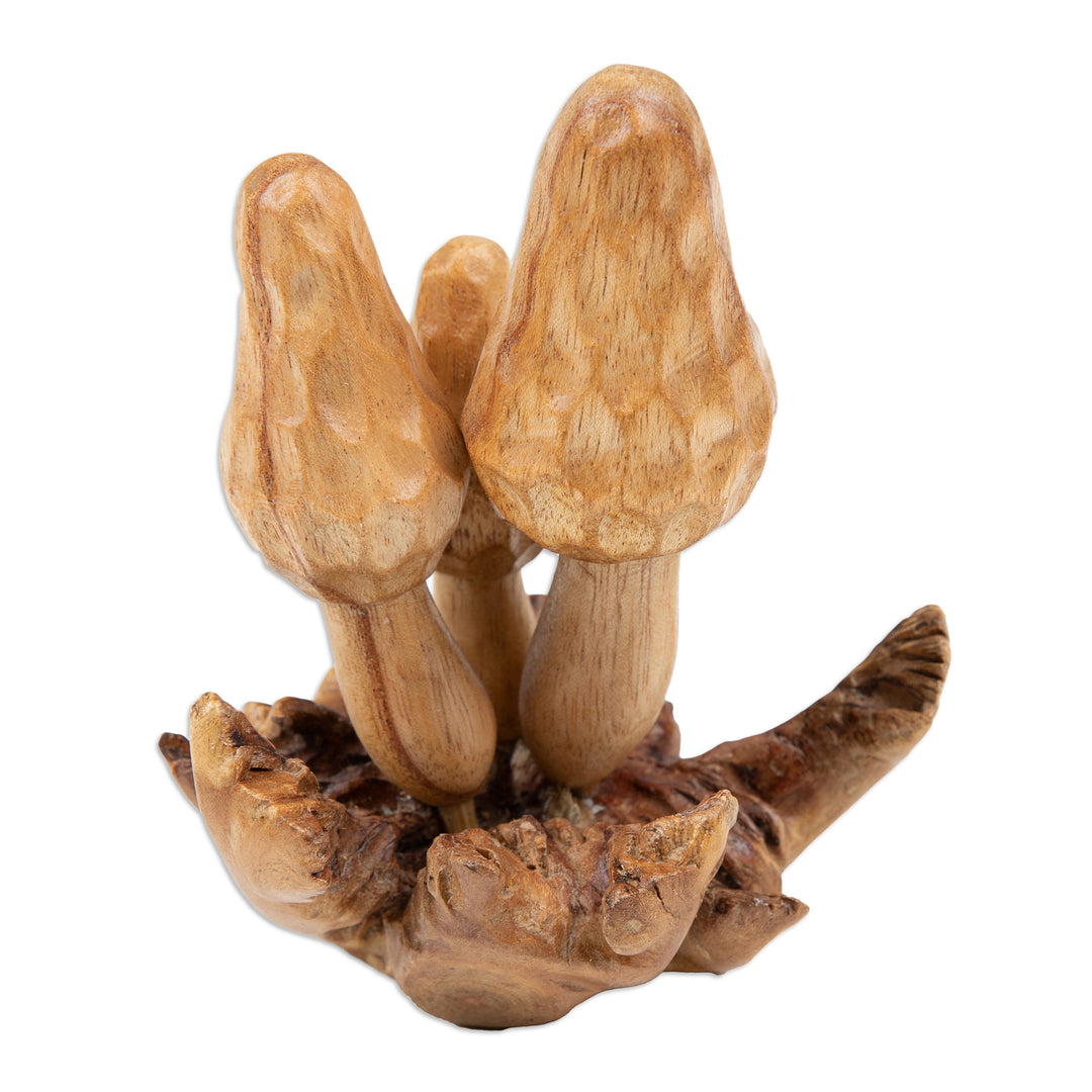 Jempinis and Benalu Wood Morchella Sculpture Crafted in Bali - Morchella Family