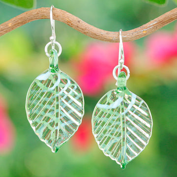 Harmonious Foliage