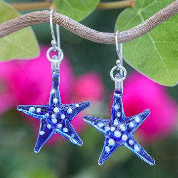 Azure Starfish