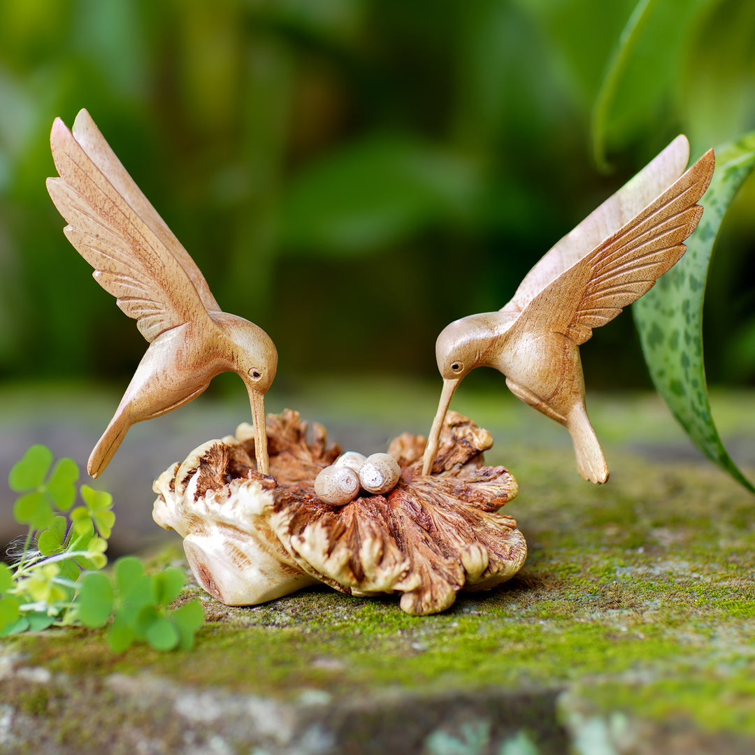 Hummingbird Love