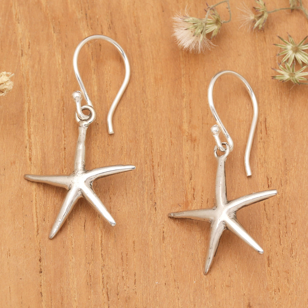 Shiny Starfish
