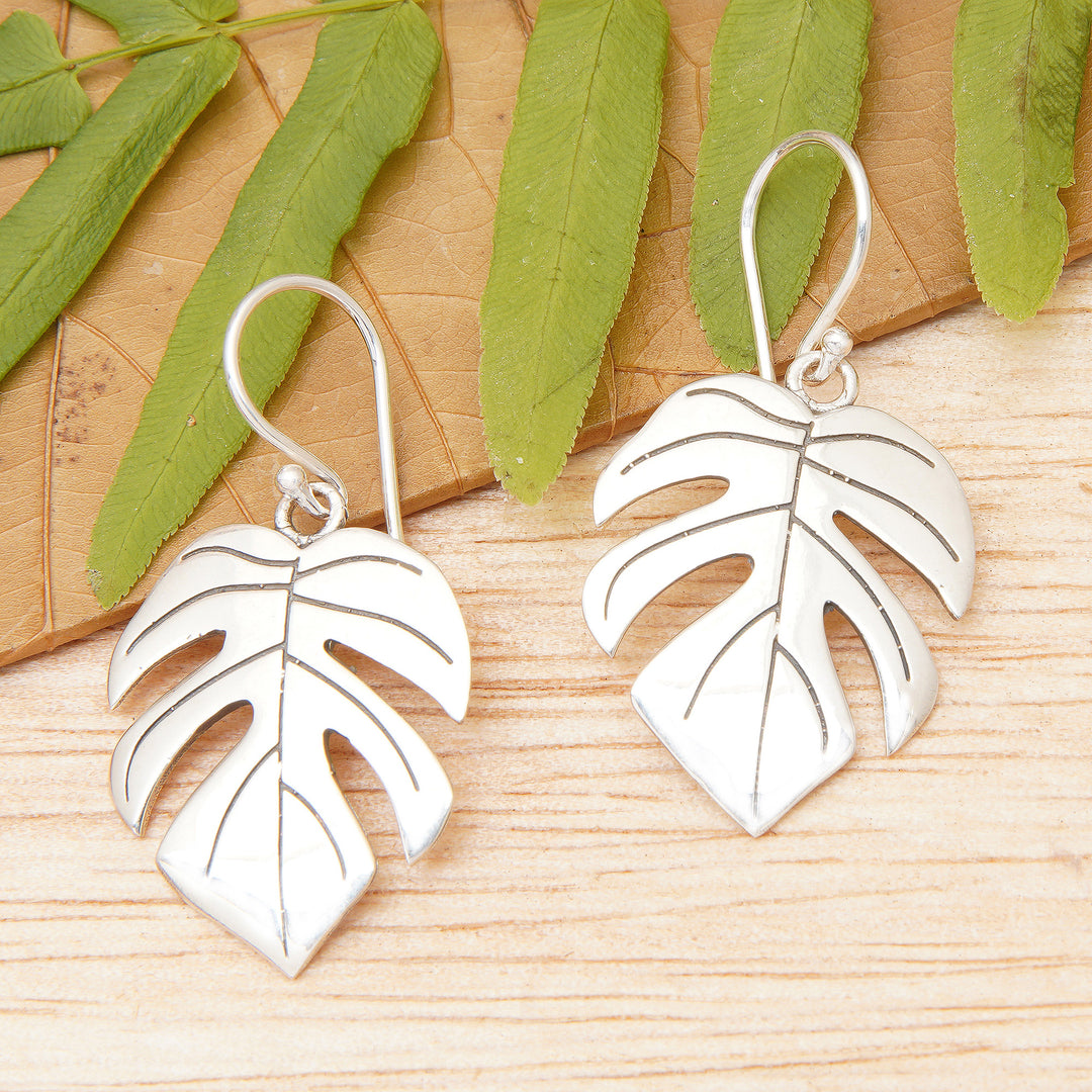 Blossoming Monstera