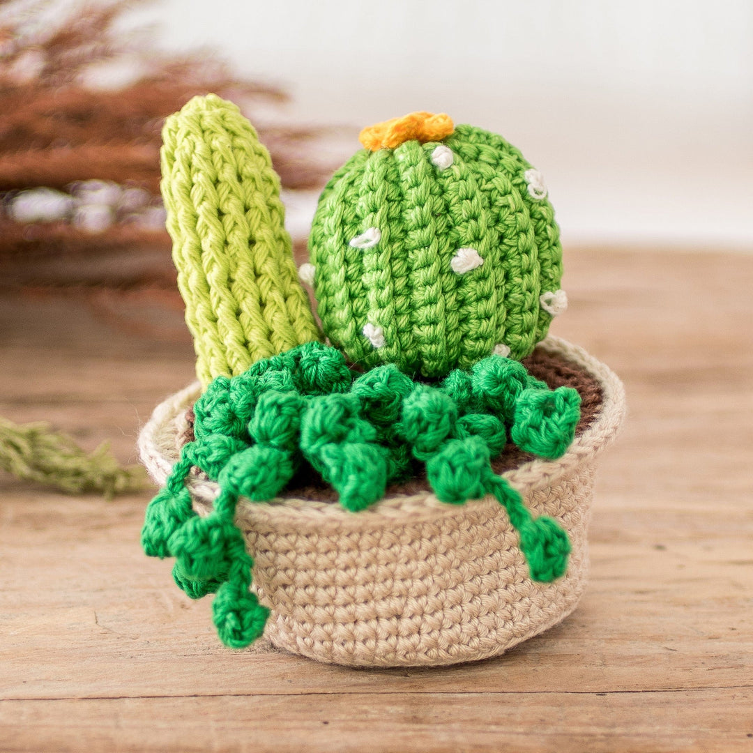 Cactus Passion