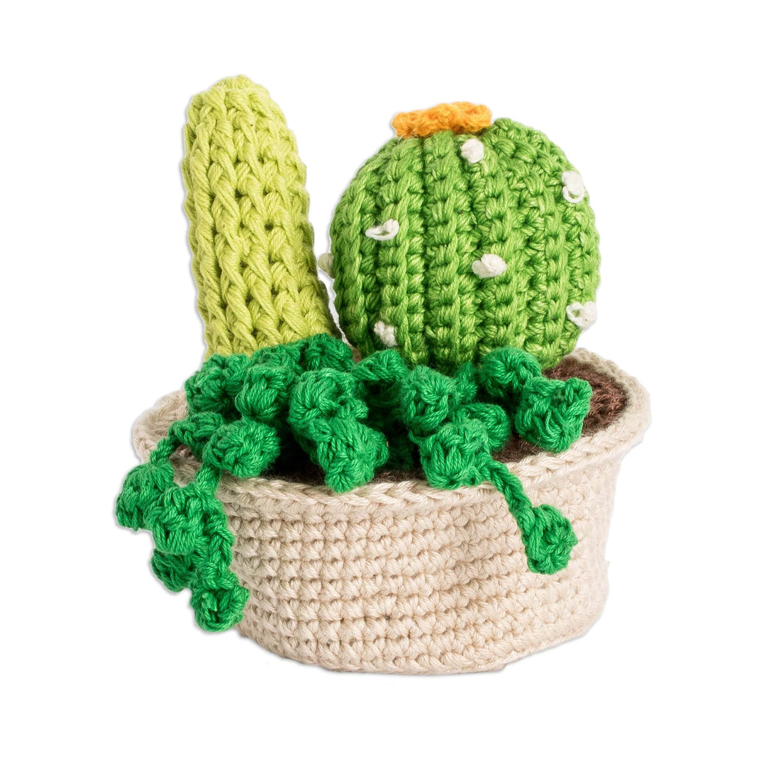 Crocheted Cotton Cacti in Planter Decorative Accent - Cactus Passion