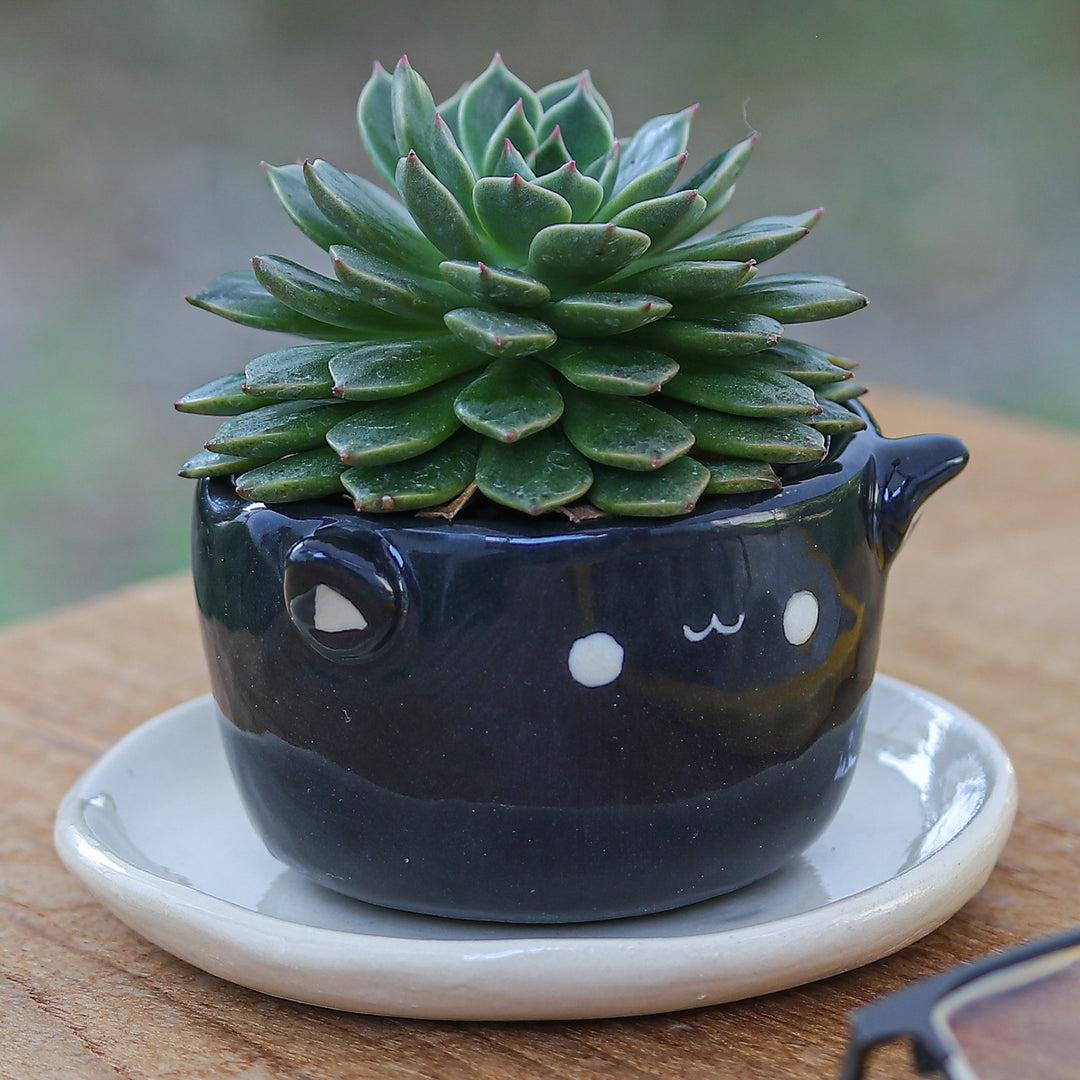 Handcrafted Black Ceramic Cat Mini Flower Pot with Saucer - Kitty Glam