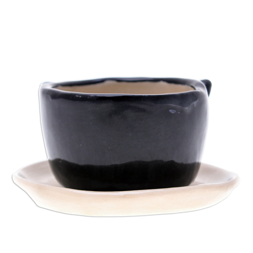 Handcrafted Black Ceramic Cat Mini Flower Pot with Saucer - Kitty Glam