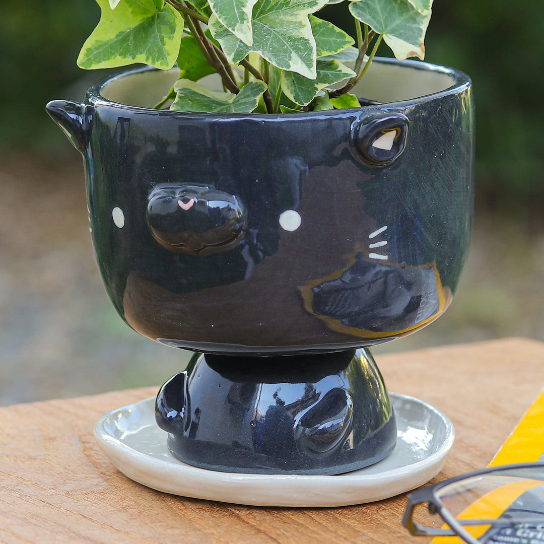 Cat-Shaped Black Ivory Ceramic Mini Flower Pot with Saucer - Midnight Kitty