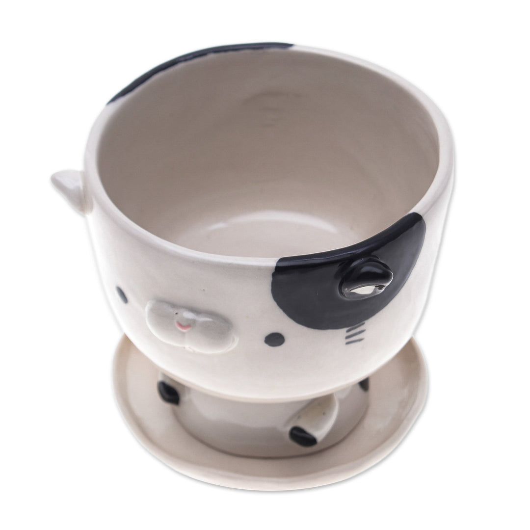 Cat-Shaped Ivory Black Ceramic Mini Flower Pot with Saucer - Adorable Kitty