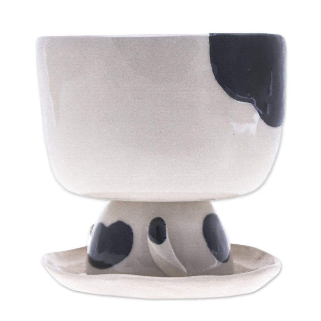 Cat-Shaped Ivory Black Ceramic Mini Flower Pot with Saucer - Adorable Kitty