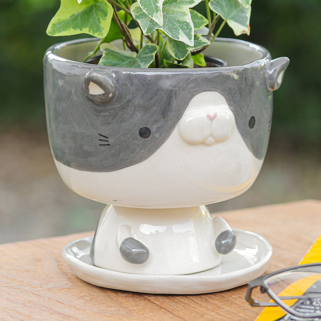 Cat-Shaped Ivory Grey Ceramic Mini Flower Pot with Saucer - Bicolor Kitty