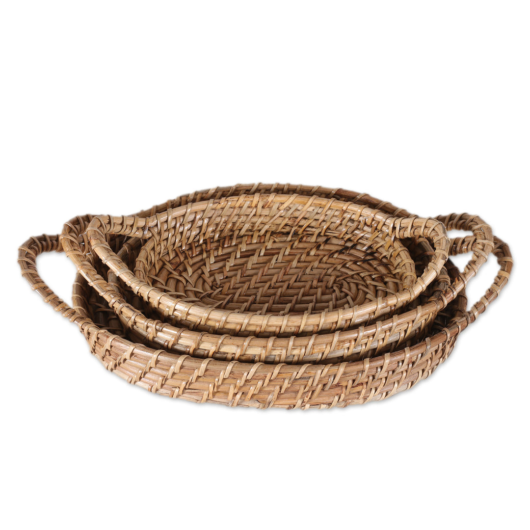 Handwoven Oval Natural Cane Fiber Baskets (Set of 3) - Visit to Paradise