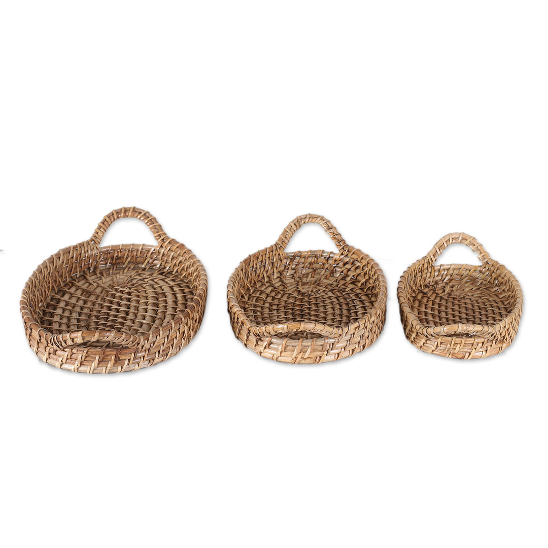 Handwoven Oval Natural Cane Fiber Baskets (Set of 3) - Visit to Paradise