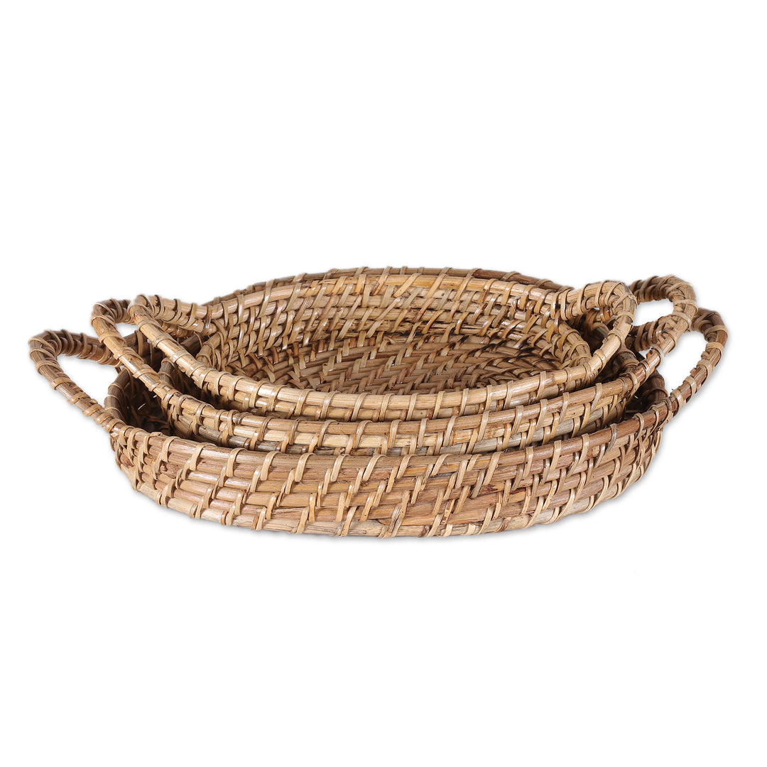 Handwoven Oval Natural Cane Fiber Baskets (Set of 3) - Visit to Paradise