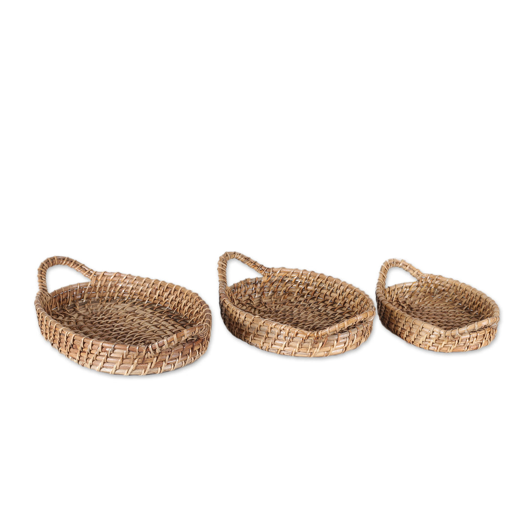 Handwoven Oval Natural Cane Fiber Baskets (Set of 3) - Visit to Paradise