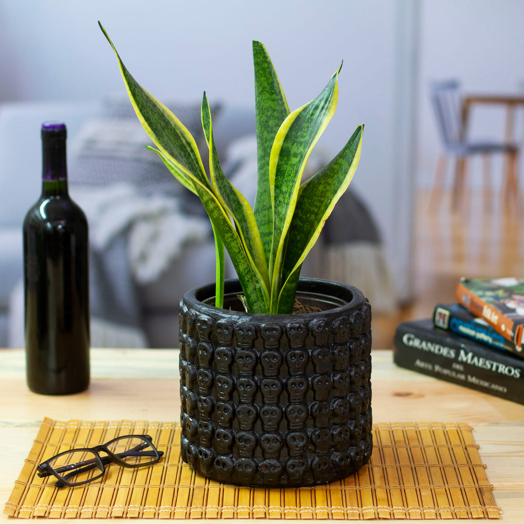 Handcrafted Skull-Patterned Round Black Ceramic Flower Pot - Portal to the Dark Afterlife