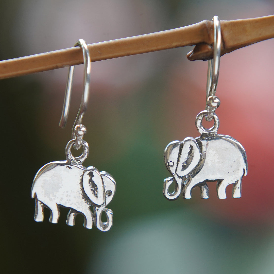 Young Elephants