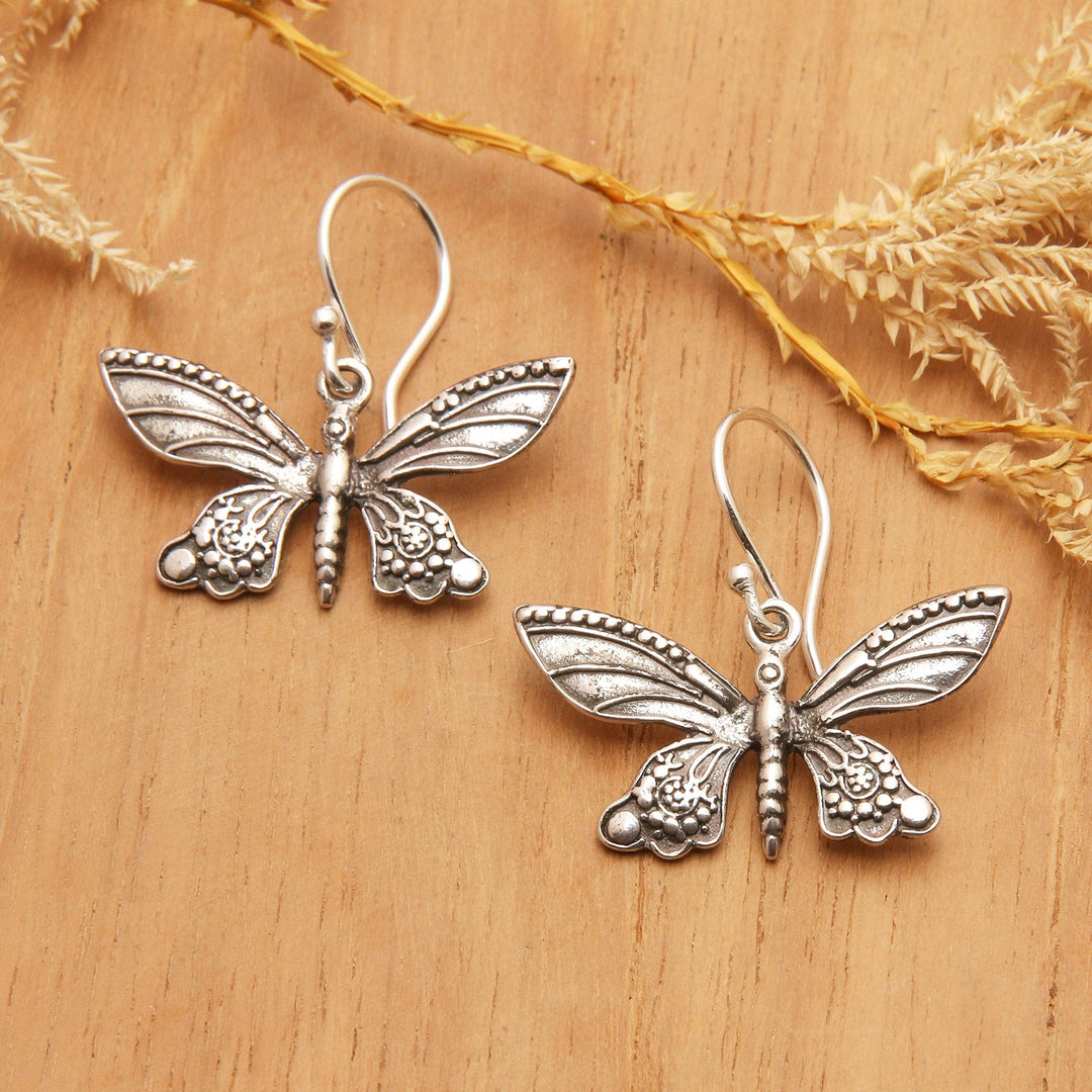 Heavens Butterfly