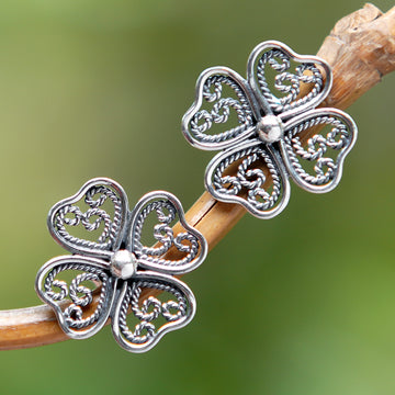 Balinese Clover