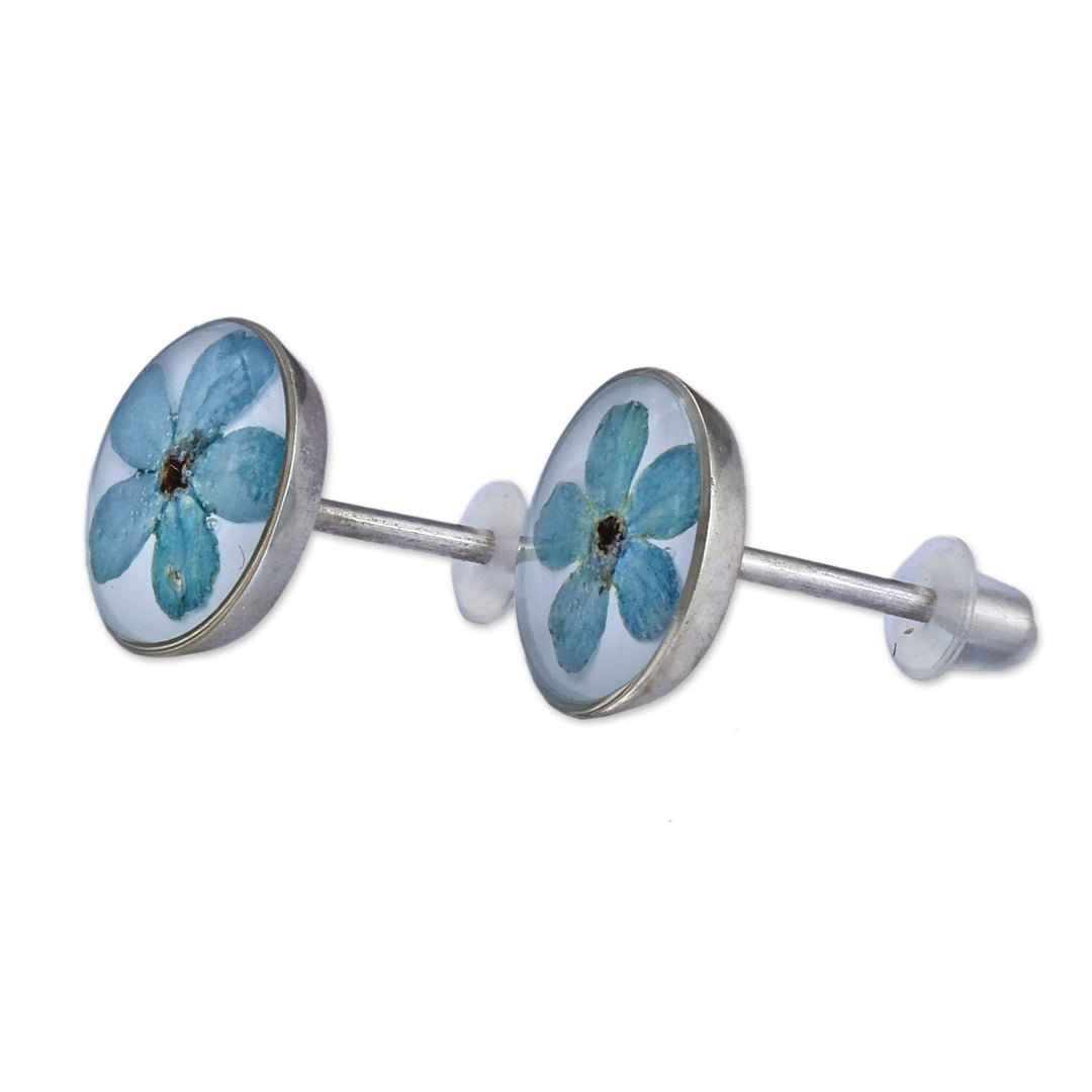 Round Resin Coated Forget-Me-Not Flower Button Earrings - Serene Blossom