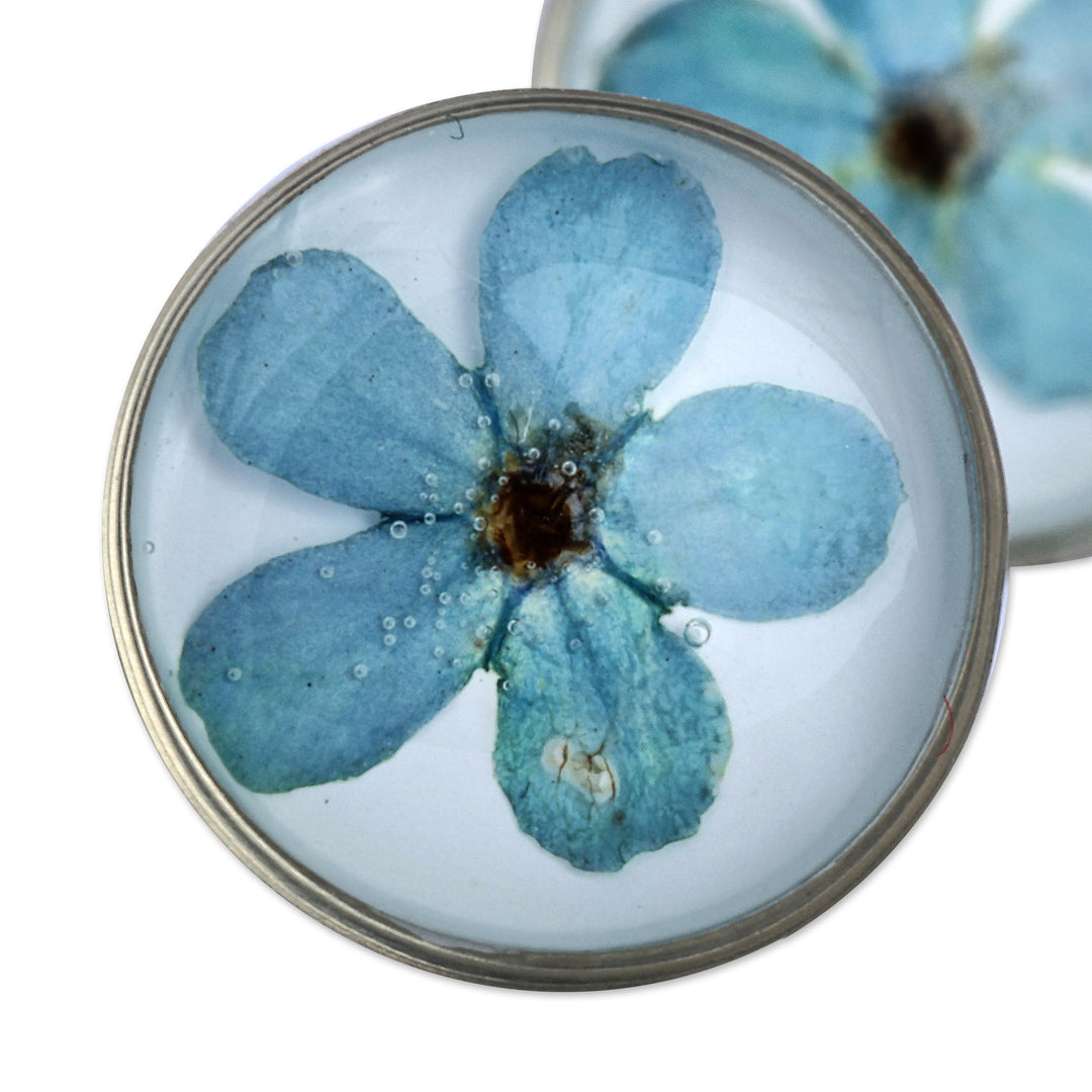 Round Resin Coated Forget-Me-Not Flower Button Earrings - Serene Blossom