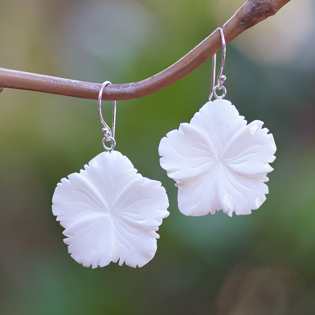 Snowy Hibiscus