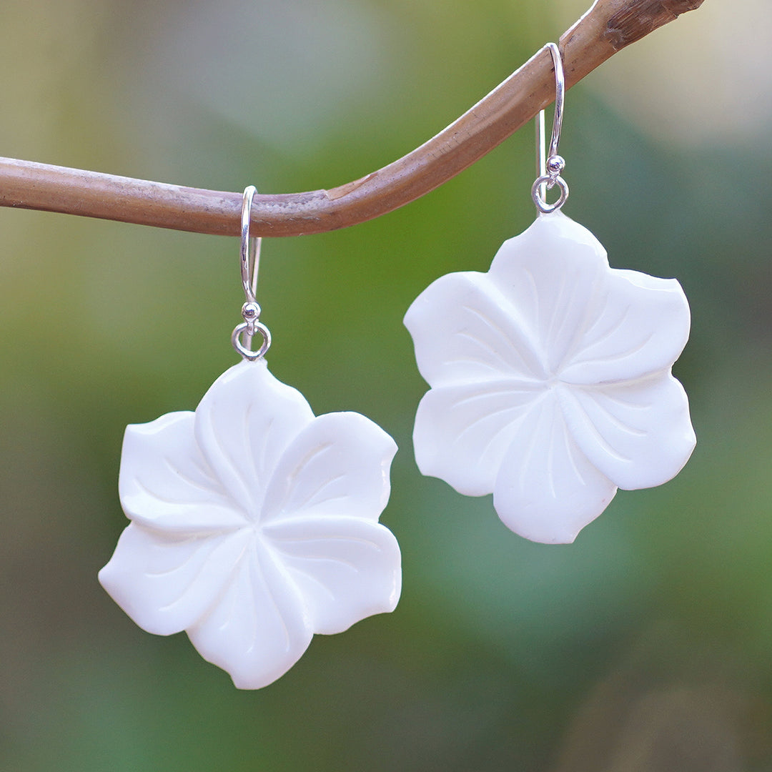 Snowy Frangipani