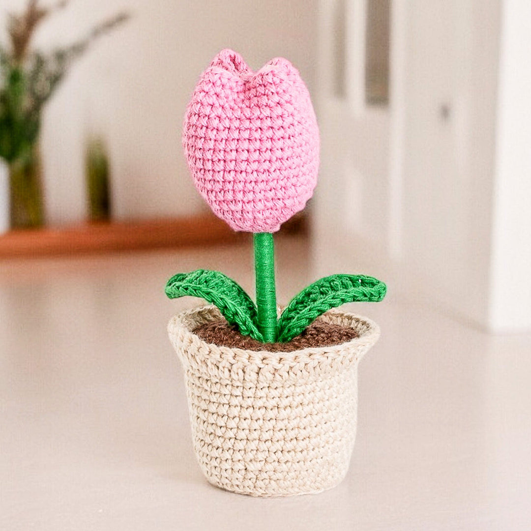 Tulip Love in Pink