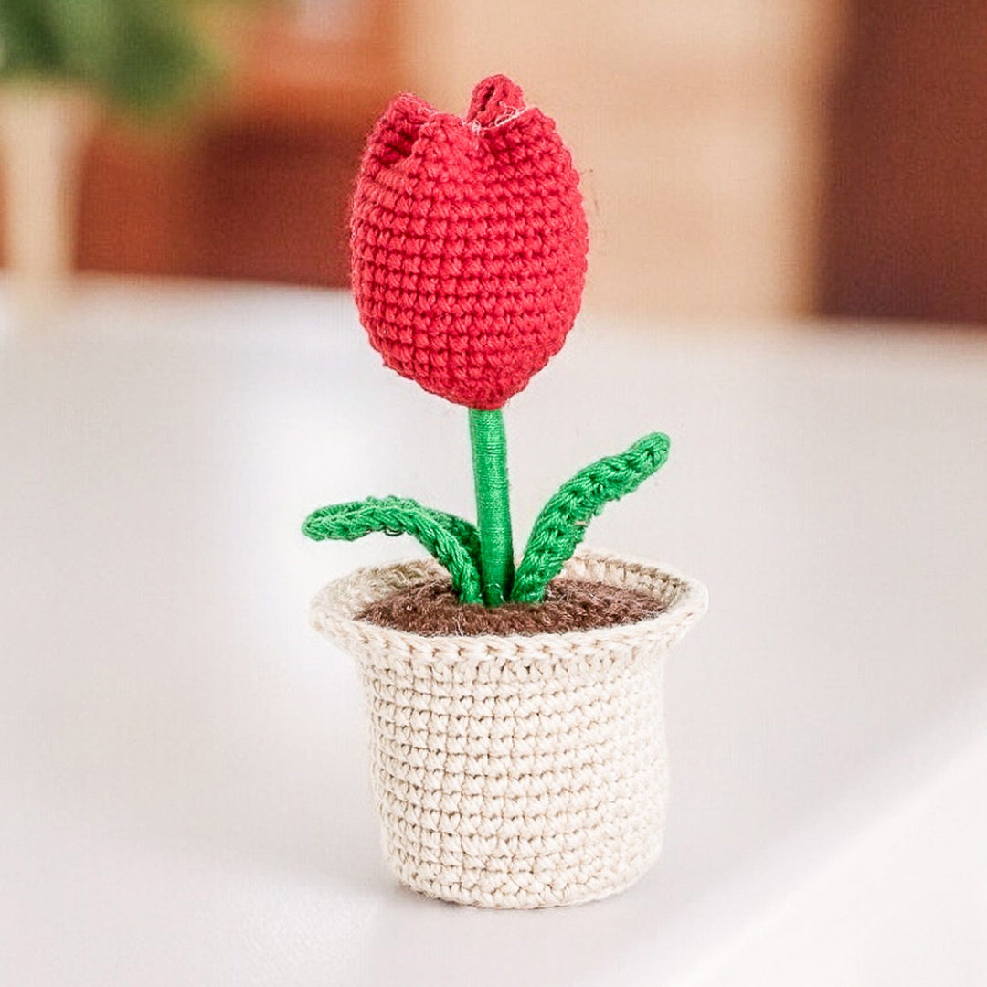 Tulip Love in Red