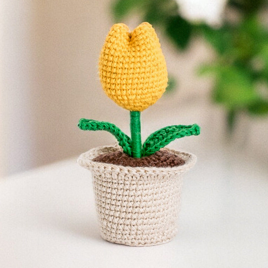 Tulip Love in Yellow