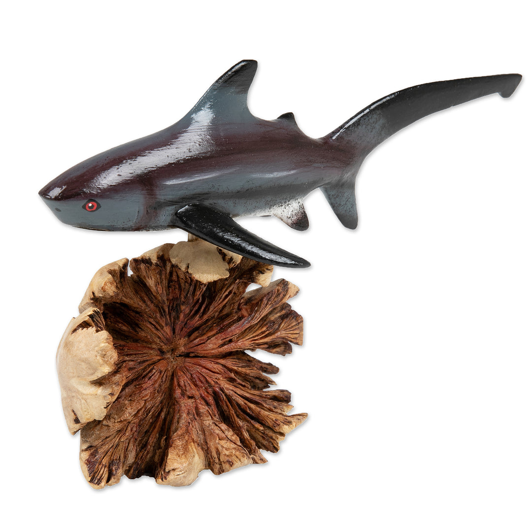 Natural Benalu and Jempinis Wood Pondicherry Shark Sculpture - Shark Soul