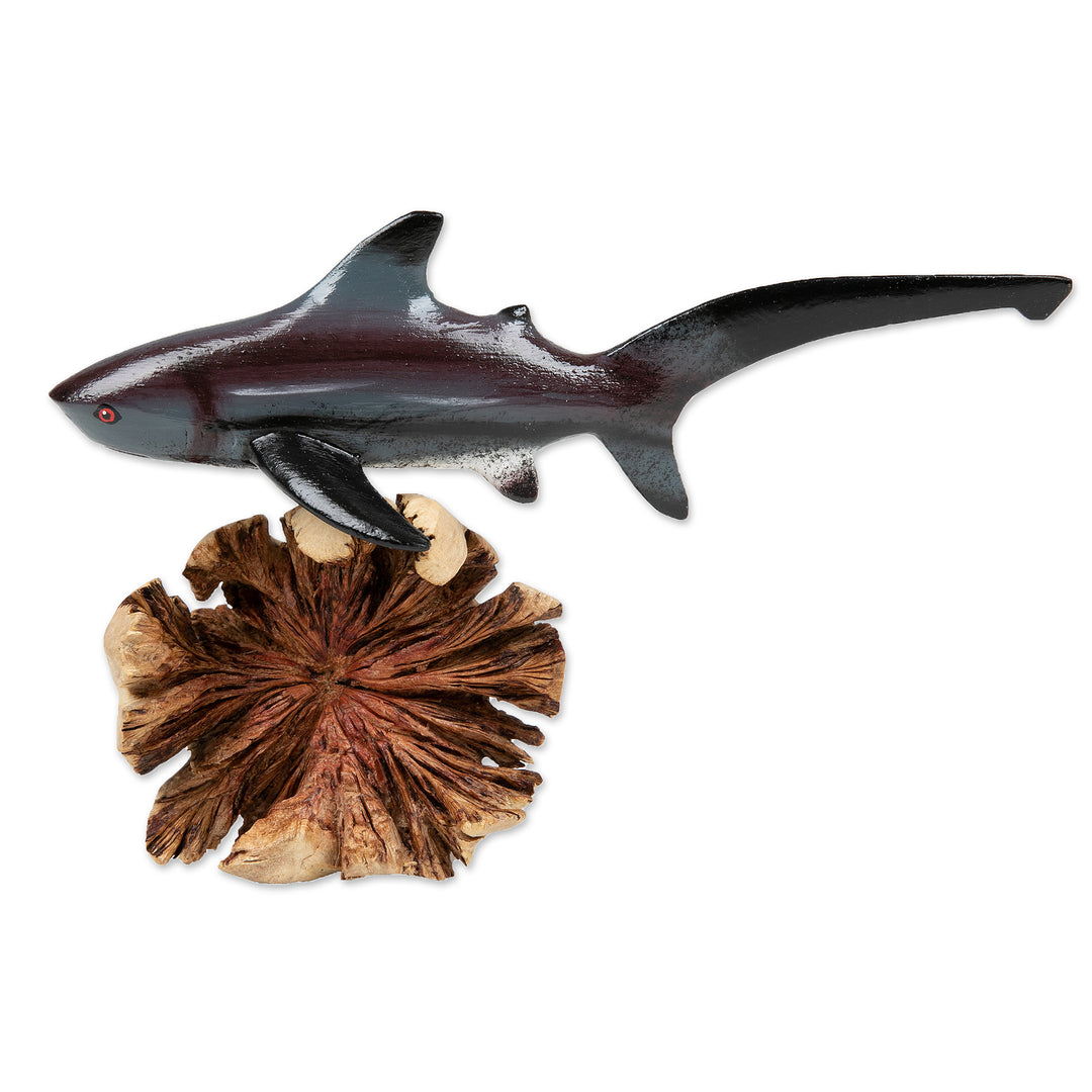 Natural Benalu and Jempinis Wood Pondicherry Shark Sculpture - Shark Soul