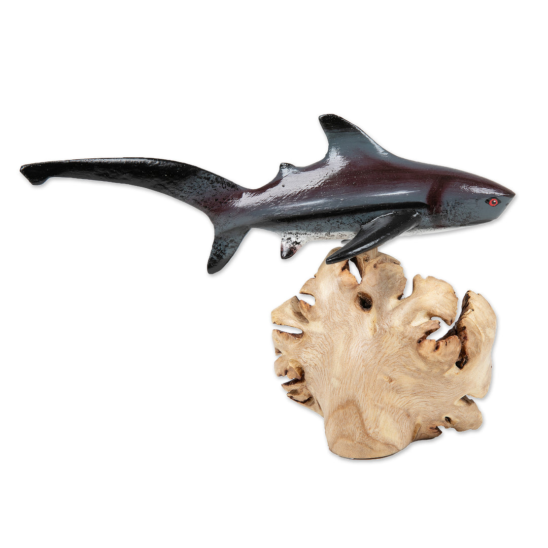 Natural Benalu and Jempinis Wood Pondicherry Shark Sculpture - Shark Soul