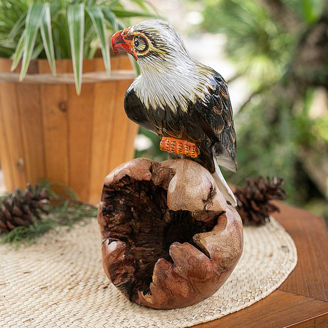 Eagle Nature
